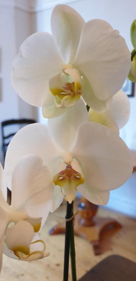 Leopold Boutique Hotel เอิสเตอร์ซุนด์ ภายนอก รูปภาพ